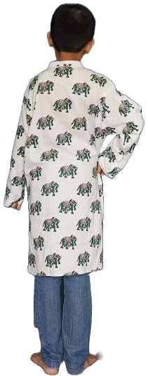 BLK029 - Green elephant white background