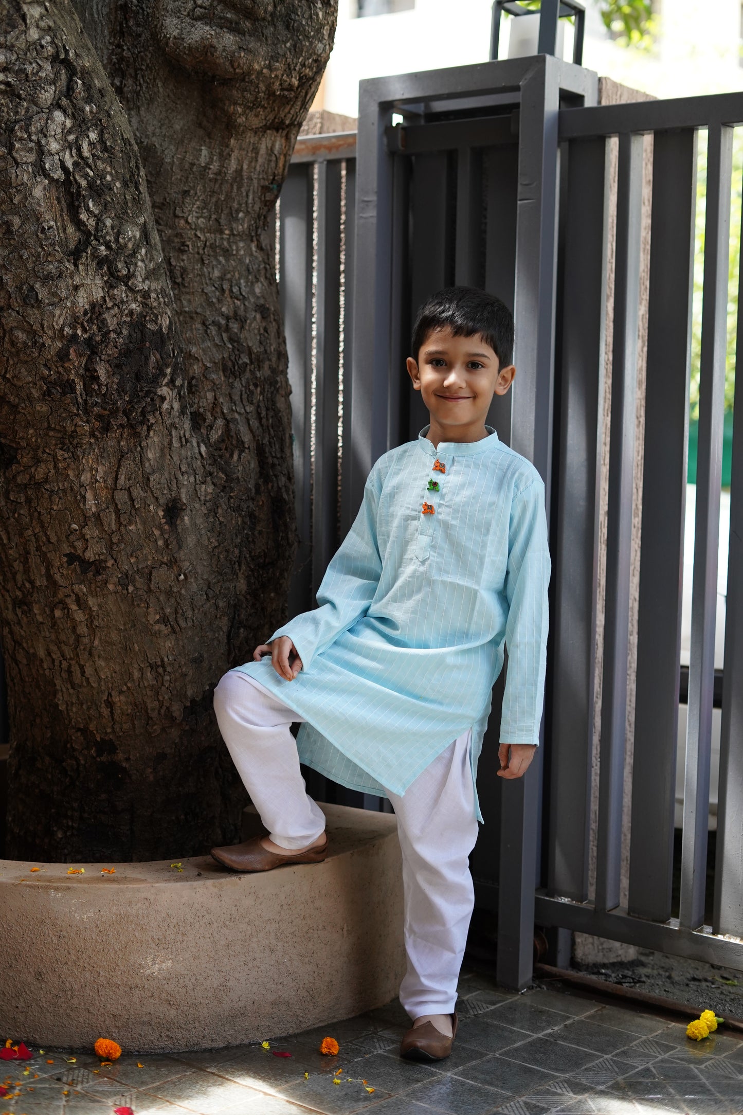 Cotton Long kurta with wooden elephant buttons