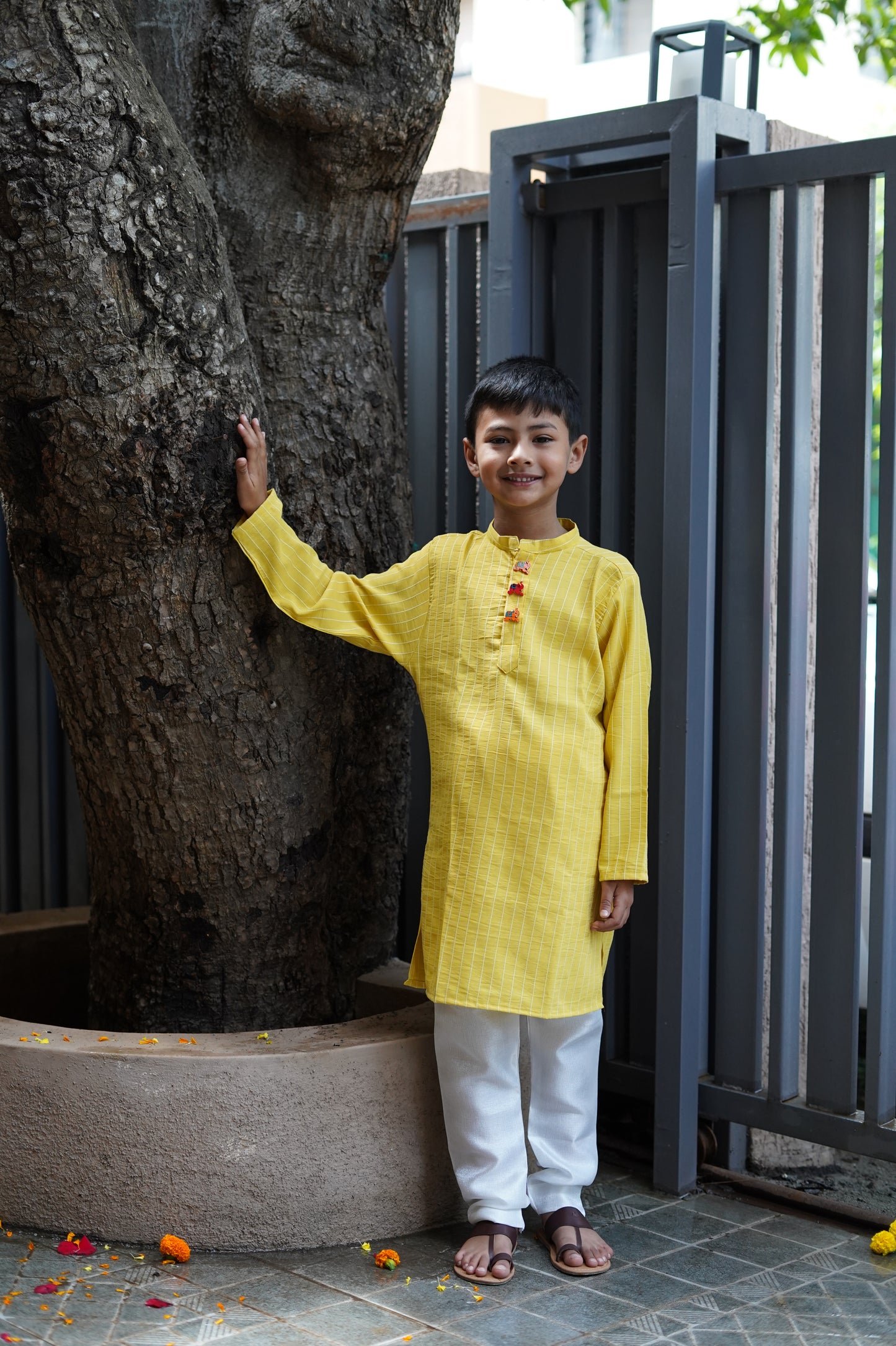 Cotton Long kurta with wooden elephant buttons