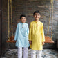 Cotton Long kurta with wooden elephant buttons