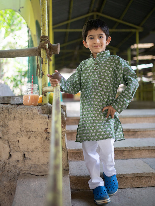 Pure cotton traditional elephant print long kurta