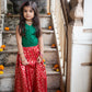 Chanderi Floral Jari Ghargra Choli